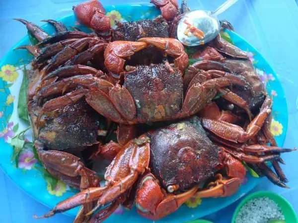 Bà Bầu Ăn Ba Khía Muối Được Không? Lưu Ý Để An Toàn Cho Mẹ Và Thai Nhi
