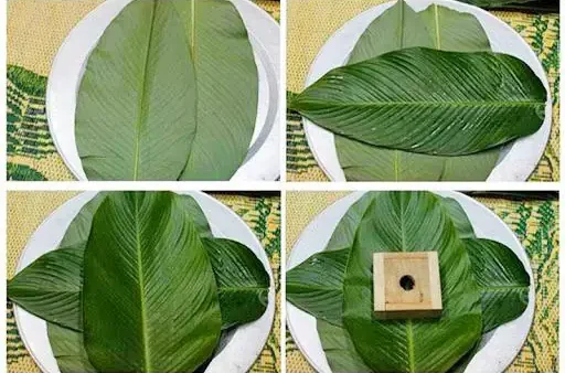 Bánh Chưng Gói Bằng Lá Gì? Chọn Lá Nào Cho Màu Xanh Đẹp Mắt?
