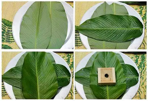 Bánh Chưng Gói Bằng Lá Gì? Chọn Lá Nào Cho Màu Xanh Đẹp Mắt? Bánh Chưng Gói Bằng Lá Gì? Chọn Lá Nào Cho Màu Xanh Đẹp Mắt?