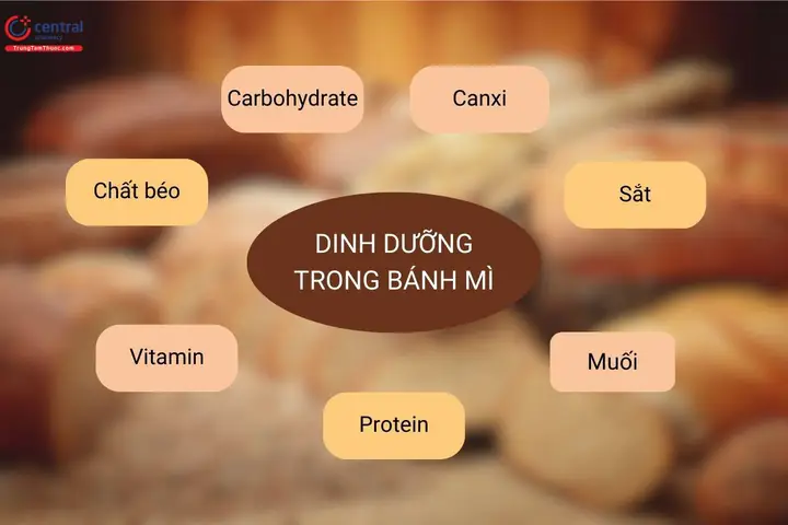 Bánh Mì Bơ Đường Bao Nhiêu Calo? Ăn Có Béo Không Và Cách Lựa Chọn Thông Minh Bánh Mì Bơ Đường Bao Nhiêu Calo? Ăn Có Béo Không Và Cách Lựa Chọn Thông Minh