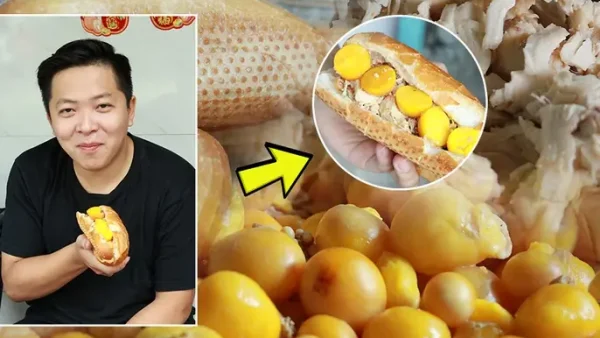 Bánh Mì Gà Xé Trứng Non: Hương Vị Đặc Biệt Thu Hút Thực Khách
