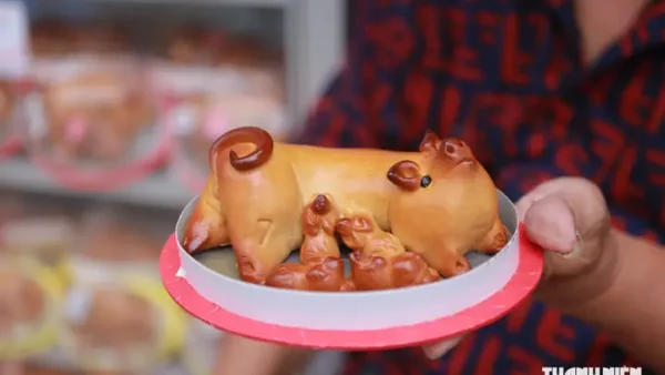 Bánh Trung Thu Heo Bầy: Ý Nghĩa, Mẫu Mã Và Nơi Mua Phổ Biến