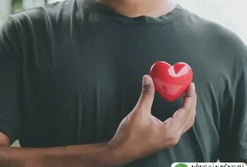 Bí Ngòi Bao Nhiêu Calo? Thành Phần Dinh Dưỡng & Lợi Ích Toàn Diện