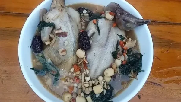 Bồ Câu Hầm Thuốc Bắc Quy Nhơn: Địa Điểm Ngon, Cách Làm Chuẩn Vị