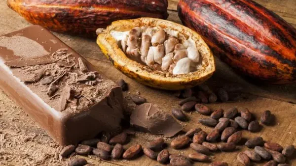 Cacao Và Cà Phê: So Sánh, Lợi Ích Và Cách Kết Hợp Cho Sức Khỏe