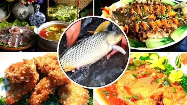 Cá Chép Giòn Ăn Gì Để Đạt Chất Lượng Tốt Nhất?