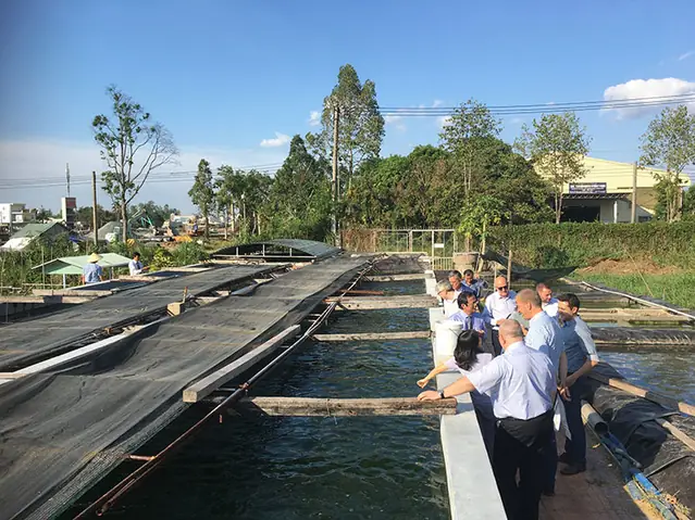 Cá Da Trơn Nước Mặn: Đặc Điểm, Các Loại Phổ Biến Và Cách Nhận Biết Cá Da Trơn Nước Mặn: Đặc Điểm, Các Loại Phổ Biến Và Cách Nhận Biết