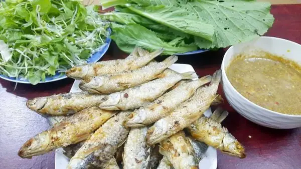 Cá Đối Biển Bao Nhiêu Tiền 1kg? Giá Cập Nhật Mới Nhất Cá Đối Biển Bao Nhiêu Tiền 1kg? Giá Cập Nhật Mới Nhất