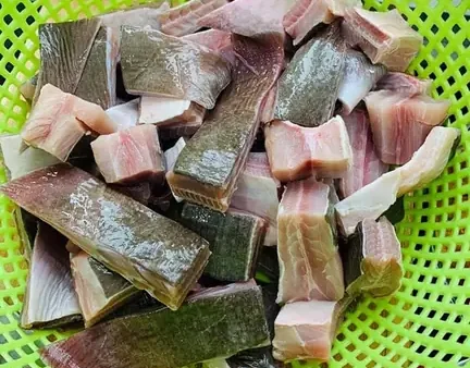Cá Đuối Có Xương Không? Giải Đáp Toàn Diện Về Cấu Tạo Xương Và Đặc Điểm