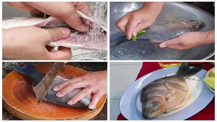 Cá Ét Làm Món Gì Ngon? Tổng Hợp Các Món Ăn Hấp Dẫn Từ Cá Ét Cá Ét Làm Món Gì Ngon? Tổng Hợp Các Món Ăn Hấp Dẫn Từ Cá Ét
