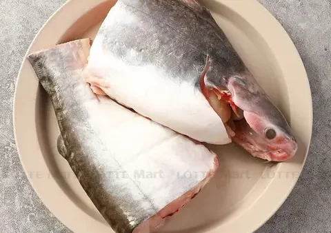 Giá Cá Hú 1kg Bao Nhiêu Tiền 2024 & Nơi Mua Tươi Ngon