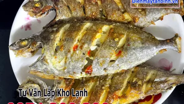 Cá Kình Là Cá Gì? Đặc Điểm, Phân Biệt Và Các Món Ngon Phổ Biến