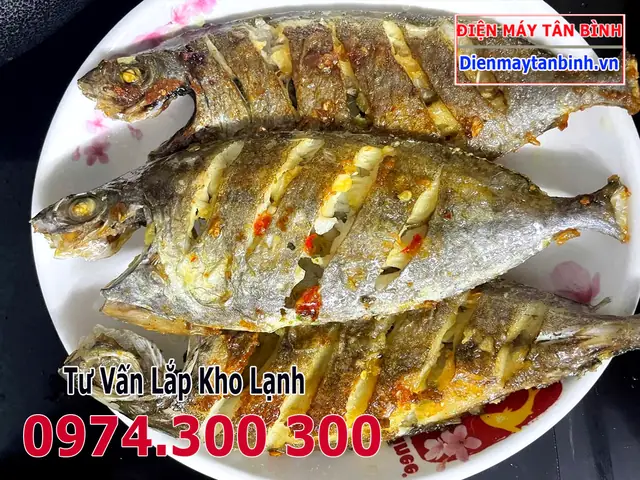 Cá Kình Là Cá Gì? Đặc Điểm, Phân Biệt Và Các Món Ngon Phổ Biến Cá Kình Là Cá Gì? Đặc Điểm, Phân Biệt Và Các Món Ngon Phổ Biến