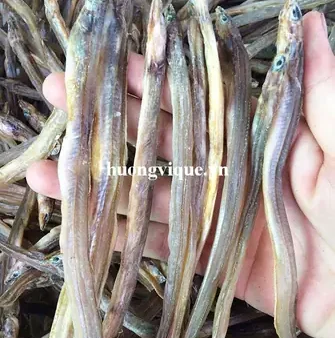 Cá Lìm Kìm Nước Ngọt: Đặc Điểm, Sinh Học Và Giá Trị Ẩm Thực