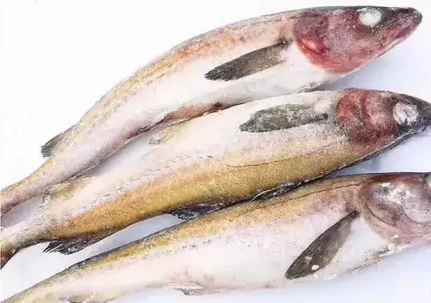 Cá Minh Thái Hàn Quốc: Đặc Điểm, Cách Chế Biến Món Ngon & Lợi Ích