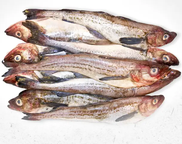 Cá Minh Thái Hàn Quốc: Đặc Điểm, Cách Chế Biến Món Ngon & Lợi Ích Cá Minh Thái Hàn Quốc: Đặc Điểm, Cách Chế Biến Món Ngon & Lợi Ích