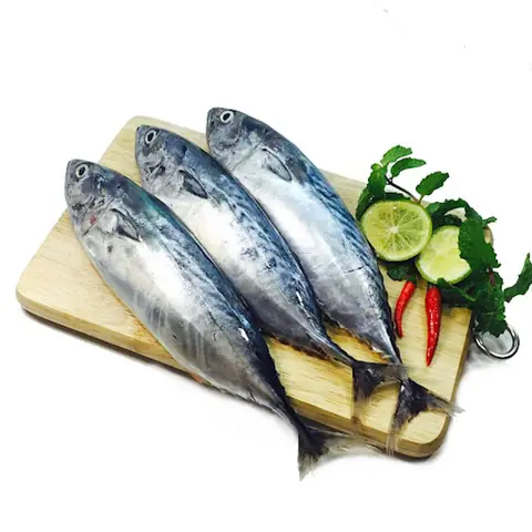 Cá Ồ Là Cá Gì? Đặc Điểm, Giá Trị Dinh Dưỡng Và Các Món Ngon Từ Cá Ồ Cá Ồ Là Cá Gì? Đặc Điểm, Giá Trị Dinh Dưỡng Và Các Món Ngon Từ Cá Ồ