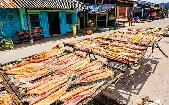 Cá Rún Là Cá Gì? Khám Phá Đặc Sản Ngon Và Giá Trị Của Loài Cá Độc Đáo Cá Rún Là Cá Gì? Khám Phá Đặc Sản Ngon Và Giá Trị Của Loài Cá Độc Đáo