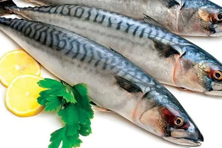 Cá Saba Là Cá Gì? Đặc Điểm, Lợi Ích Và Cách Phân Biệt Với Cá Nục, Cá Basa Cá Saba Là Cá Gì? Đặc Điểm, Lợi Ích Và Cách Phân Biệt Với Cá Nục, Cá Basa