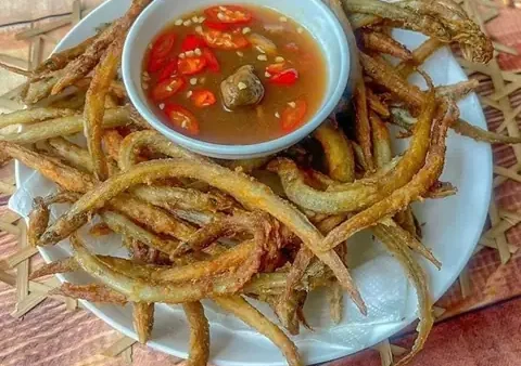 Cá Sụn Sịn Là Cá Gì? Đặc Điểm, Nguồn Gốc Và Các Món Ngon Phổ Biến