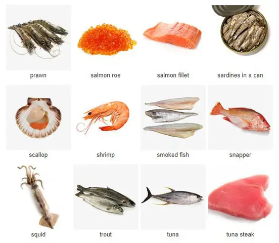 Cá Thu Tiếng Anh Là Gì? Giải Đáp Mackerel Và Các Biến Thể Cá Thu Tiếng Anh Là Gì? Giải Đáp Mackerel Và Các Biến Thể
