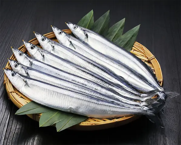 Cá Thu Tiếng Anh Là Gì? Giải Đáp Mackerel Và Các Biến Thể Cá Thu Tiếng Anh Là Gì? Giải Đáp Mackerel Và Các Biến Thể