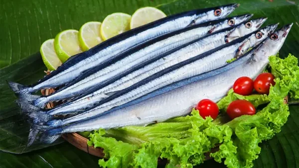 Cá Thu Tiếng Anh Là Gì? Giải Đáp Mackerel Và Các Biến Thể