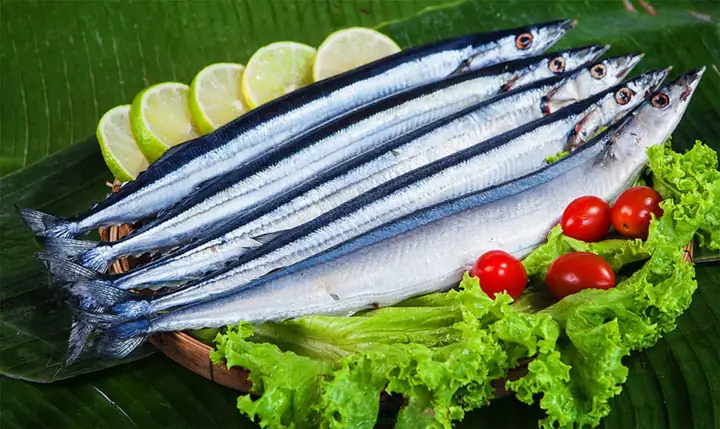 Cá Thu Tiếng Anh Là Gì? Giải Đáp Mackerel Và Các Biến Thể Cá Thu Tiếng Anh Là Gì? Giải Đáp Mackerel Và Các Biến Thể