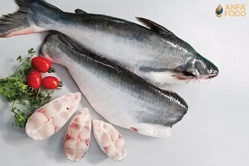 Cá Trắng Là Cá Gì? Khám Phá Các Loại Cá Thịt Trắng Giàu Dinh Dưỡng Và Lợi Ích