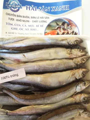 Cá Trứng Có Cần Mổ Bụng Không? Hướng Dẫn Sơ Chế, Chế Biến Chi Tiết