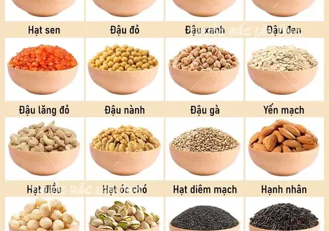 Các Loại Hạt Nào Tốt Nhất Để Làm Sữa Hạt Dinh Dưỡng Tại Nhà?