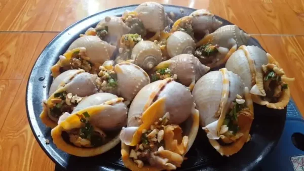Top 15+ Các Loại Ốc Biển Ngon Tuyệt Hảo Nên Thử Ít Nhất Một Lần