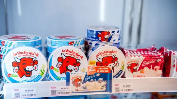 Các Loại Phô Mai Con Bò Cười Phổ Biến: Đặc Điểm Và Cách Sử Dụng
