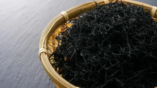 Các Loại Rong Biển Ăn Được Phổ Biến Nhất: Hướng Dẫn Chi Tiết
