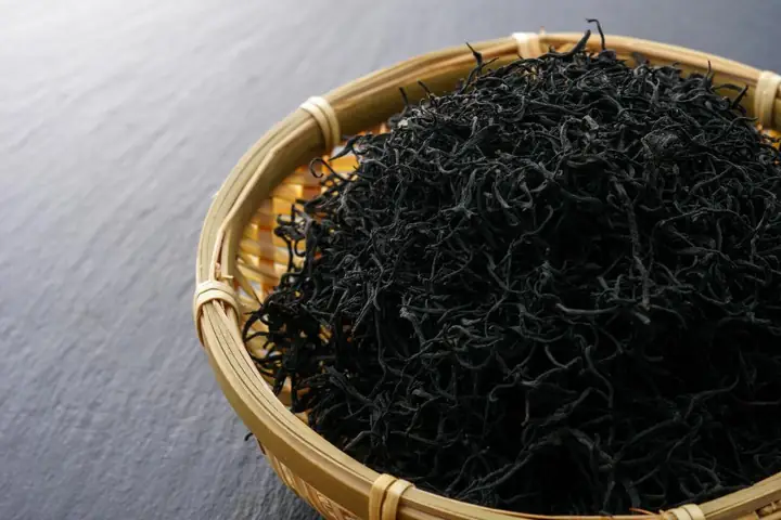 Các Loại Rong Biển Ăn Được Phổ Biến Nhất: Hướng Dẫn Chi Tiết Các Loại Rong Biển Ăn Được Phổ Biến Nhất: Hướng Dẫn Chi Tiết