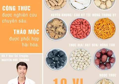 Khám Phá Các Vị Thuốc Bắc Thường Dùng Trong Gà Tần Và Công Dụng Bổ Dưỡng