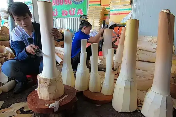 Cách Bảo Quản Củ Hũ Dừa Tươi Lâu Tại Nhà Hiệu Quả Nhất Cách Bảo Quản Củ Hũ Dừa Tươi Lâu Tại Nhà Hiệu Quả Nhất