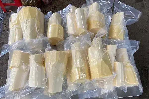 Cách Bảo Quản Củ Hũ Dừa Tươi Lâu Tại Nhà Hiệu Quả Nhất Cách Bảo Quản Củ Hũ Dừa Tươi Lâu Tại Nhà Hiệu Quả Nhất