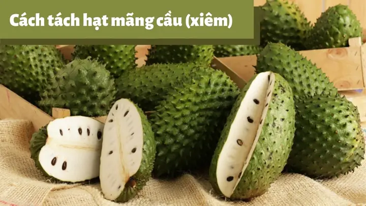 Mẹo Tách Hạt Mãng Cầu Nhanh Chóng Và Sạch Sẽ Cho Mọi Mục Đích Mẹo Tách Hạt Mãng Cầu Nhanh Chóng Và Sạch Sẽ Cho Mọi Mục Đích