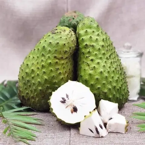 Mẹo Tách Hạt Mãng Cầu Nhanh Chóng Và Sạch Sẽ Cho Mọi Mục Đích Mẹo Tách Hạt Mãng Cầu Nhanh Chóng Và Sạch Sẽ Cho Mọi Mục Đích