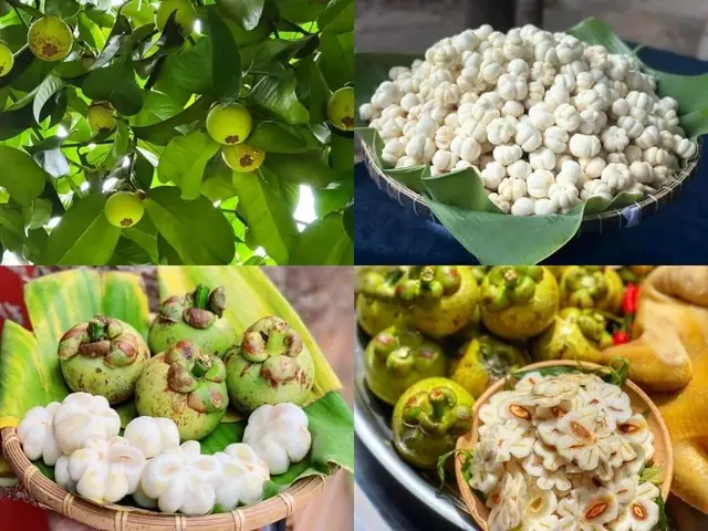 Cách Gọt Măng Cụt Xanh Nhanh, Sạch Mủ Và Không Bị Đen Tay