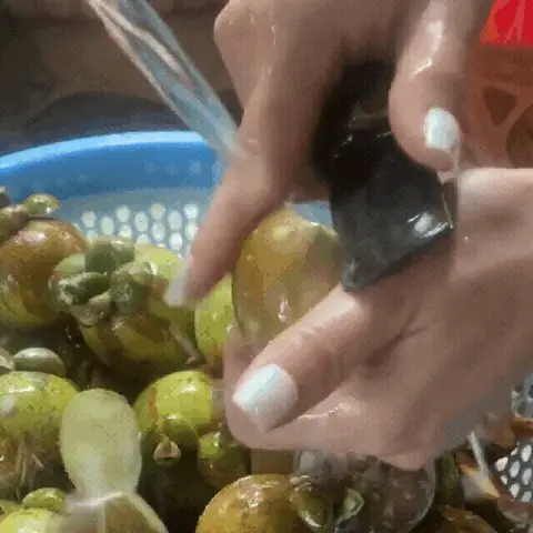 Cách Gọt Măng Cụt Xanh Nhanh, Sạch Mủ Và Không Bị Đen Tay