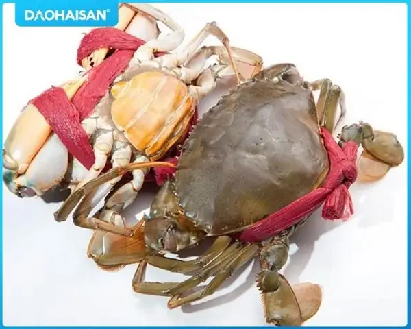 Cách Hấp Cua Cà Mau Ngon Chuẩn Vị, Giữ Trọn Độ Ngọt, Không Rụng Càng Cách Hấp Cua Cà Mau Ngon Chuẩn Vị, Giữ Trọn Độ Ngọt, Không Rụng Càng