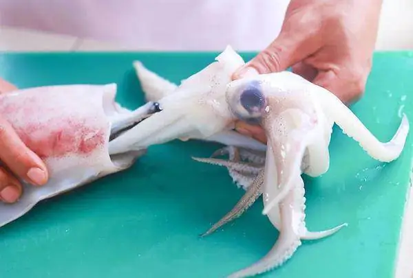 Cách Hấp Mực Ống Ngon, Giòn Ngọt Tự Nhiên, Không Tanh Tại Nhà