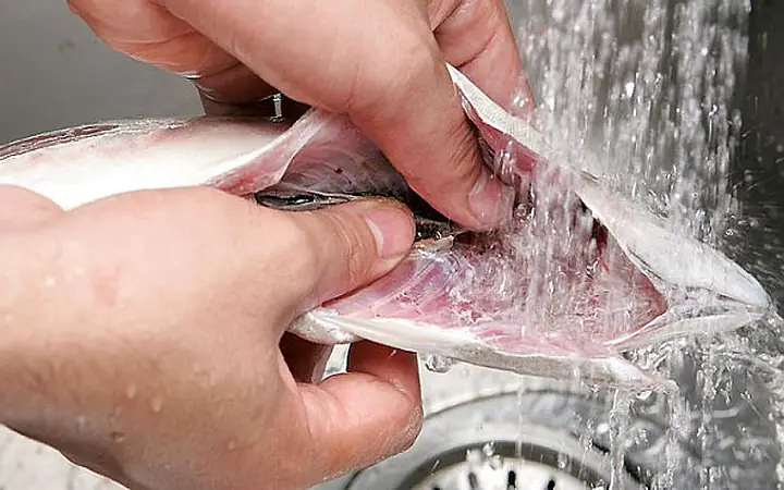 Cách Làm Cá Thu Kho Ngon Chuẩn Vị Tại Nhà: Bí Quyết Nhanh Chóng & Đậm Đà Cách Làm Cá Thu Kho Ngon Chuẩn Vị Tại Nhà: Bí Quyết Nhanh Chóng & Đậm Đà