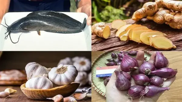 Cách Làm Cá Trê Kho Tiêu Ngon Đậm Đà Chuẩn Vị Tại Nhà
