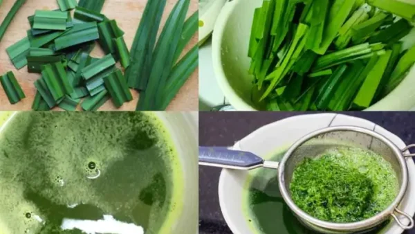Cách Làm Bánh Đúc Nước Cốt Dừa Béo Ngậy, Dẻo Mềm Thơm Ngon Tại Nhà Chuẩn Vị