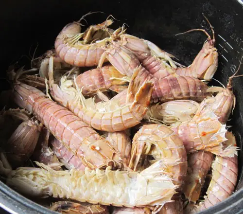 Cách Làm Bề Bề Chiên Xù Giòn Ngon Chuẩn Vị Tại Nhà Cách Làm Bề Bề Chiên Xù Giòn Ngon Chuẩn Vị Tại Nhà