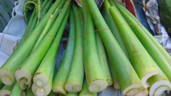 5 Cách Làm Dọc Mùng Giòn Ngon Không Bị Ngứa Tay, Miệng