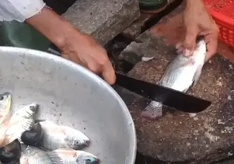 Hướng Dẫn Chi Tiết Cách Làm Khô Cá Rô Phi Thơm Ngon, Để Lâu Tại Nhà